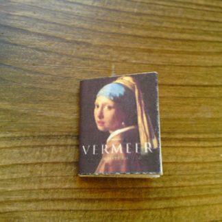 Bildband Vermeer (mit vielen Farbbildern)