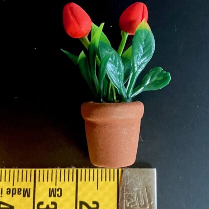 Tulpen (rot) in Topf. - Image 3