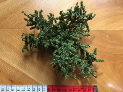 Bodendecker (Green Juniper - Wacholder) - Image 2