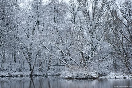 Tapete Wandbild (Winter Pond)