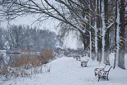 Tapete Wandbild (Winter Park).