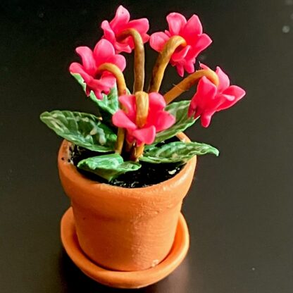 Cyclamen (pink) in Tontopf. Handarbeit.