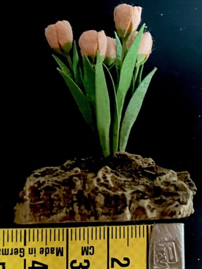 Tulpen (apricot) auf Felsen. Handarbeit. - Image 2