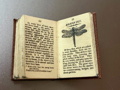 Buch (History of Insects). Repro 1813. Handarbeit/Deutschland. - Image 3