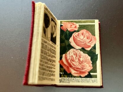 Miniaturbuch (How to grow Roses). Handarbeit/Deutschland. - Image 3