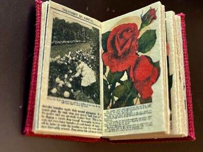 Miniaturbuch (How to grow Roses). Handarbeit/Deutschland. - Image 4