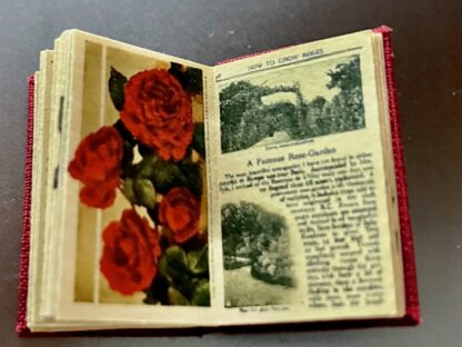 Miniaturbuch (How to grow Roses). Handarbeit/Deutschland. - Image 2