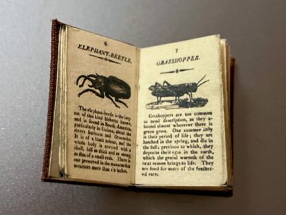 Buch (History of Insects). Repro 1813. Handarbeit/Deutschland. - Image 4